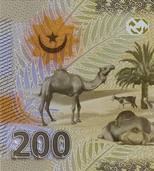200 угий, Мавритания, 2017 год, UNC Полимерная 005450 фото