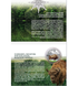 "Chornobyl. Rebirth. The Bison" in souvenir packaging