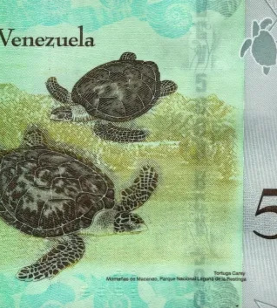 10 banknotes of 5000 Bolivares, Venezuela, UNC