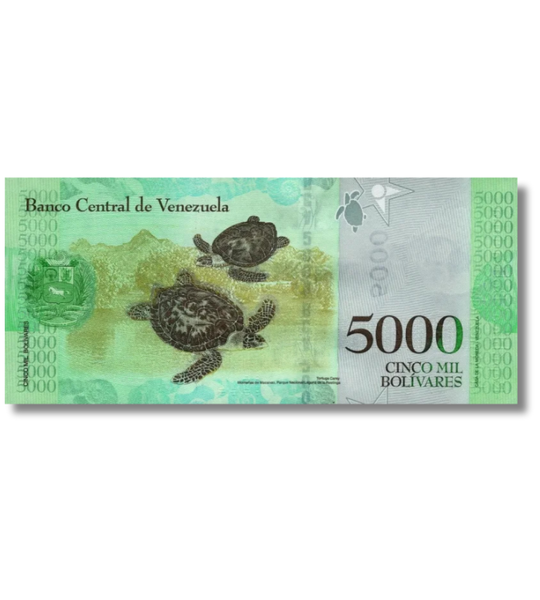 10 banknotes of 5000 Bolivares, Venezuela, UNC