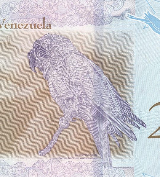 200 Bolivares, Venezuela, 2018, UNC 000449 фото