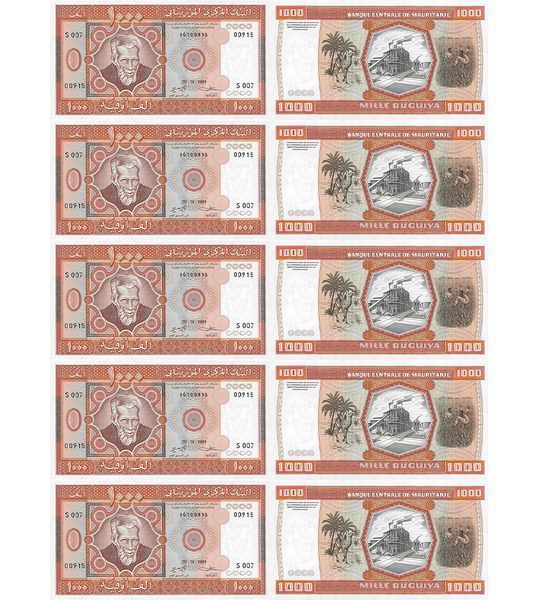 10 banconote da 1000 Ouguiya, Mauritania, 1981, UNC 003611 фото 10 banconote da 1000 Ouguiya, Mauritania, 1981, UNC 003611 фото