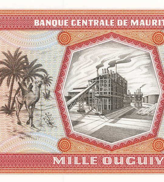 10 billets de 1000 Ouguiya, Mauritanie, 1981, UNC 003611 фото