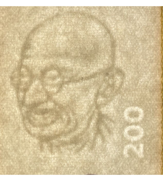 200 Rupie, (lettera F) India, anno 2024, UNC 005054 фото 200 Rupie, (lettera F) India, anno 2024, UNC 005054 фото
