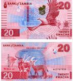 20 Kwacha, Zambia, 2024 (2025), UNC 003858 фото