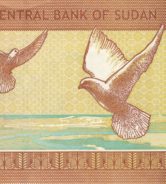 1 pound, Sudan, 2006, UNC