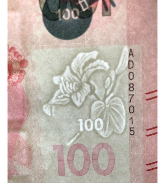 100 Dolarów, Hongkong, 2018, UNC
