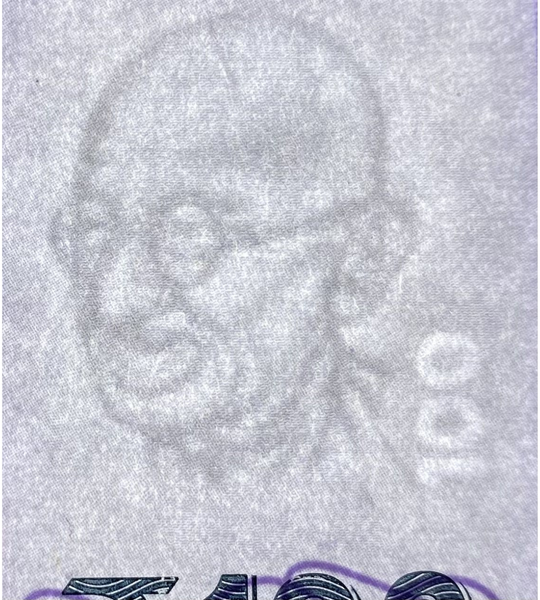 100 rupii (litera N), Indie, 2024 rok, UNC