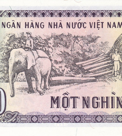 Купить 1000 Донг, Вьетнам, 1988 год, U 000503 в интернет магазине