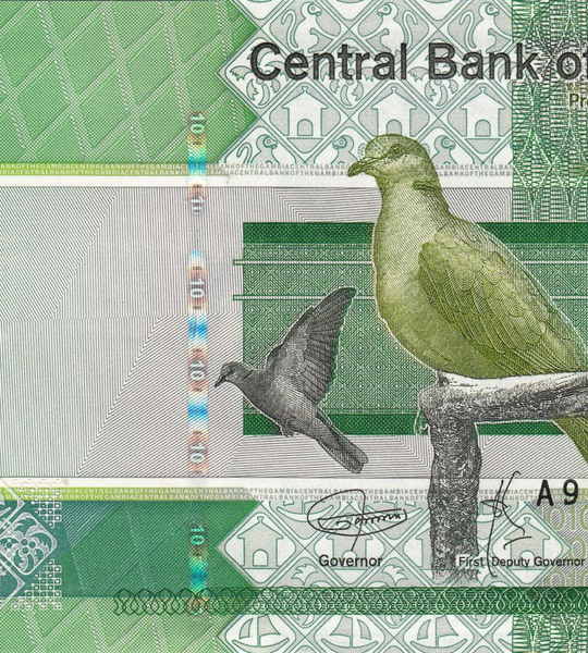 10 dalasi, Gambia, 2019 rok, UNC
