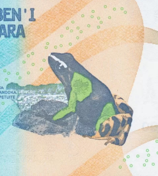 100 Ariary, Madagaskar, 2017, UNC 004593 фото