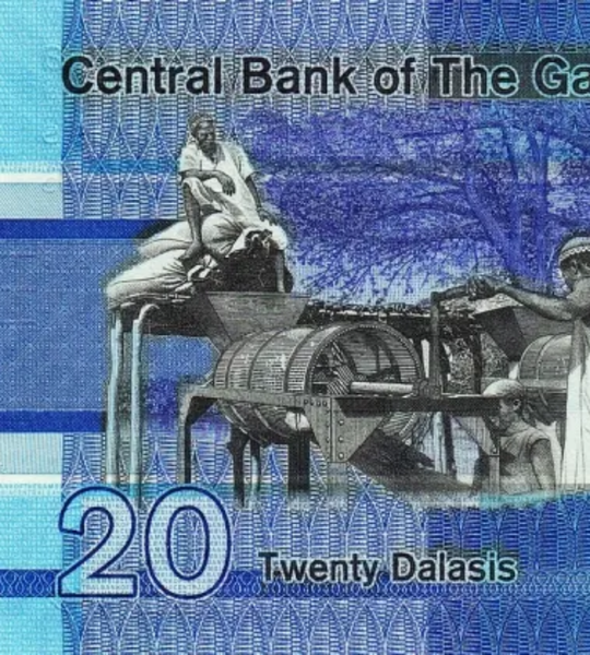 20 dalasi, Gambia, 2019 rok, UNC