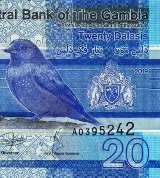 20 dalasi, Gambia, 2019 rok, UNC