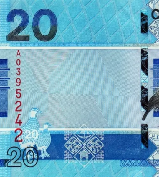 20 dalasi, Gambia, 2019 rok, UNC