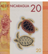 20 C&oacute;rdobas, Nicaragua, anno 2022, UNC Polimero 005442 фото 8