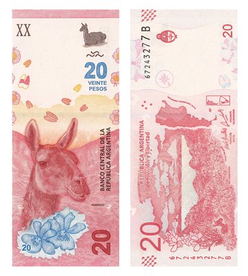 20 Pesos, Аргентина, 2017 рік, UNC 000157 фото