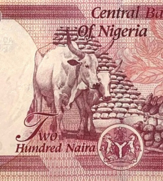200 naira, Nigeria, 2026 rok, UNC
