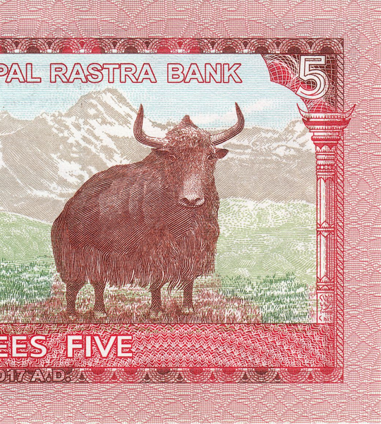 5 Rupien, Nepal, 2017, UNC 003764 фото
