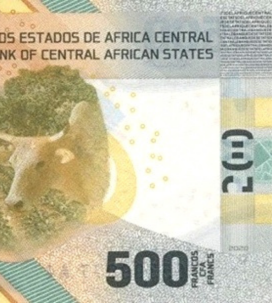 500 Franchi, Africa Centrale, anno 2020 (2022), UNC 005011 фото 500 Franchi, Africa Centrale, anno 2020 (2022), UNC 005011 фото