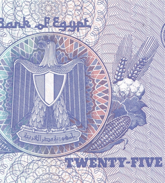 10 banknot&oacute;w 25 piastr&oacute;w, Egipt, 2008, UNC
