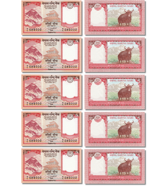 10 банкнот 5 Rupees, Непал, 2017 рік, UNC 003766 фото