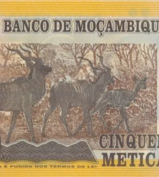 50 Meticais, Mosambik, Jahr 2017, UNC Polymer 005013 фото 50 Meticais, Mosambik, Jahr 2017, UNC Polymer 005013 фото