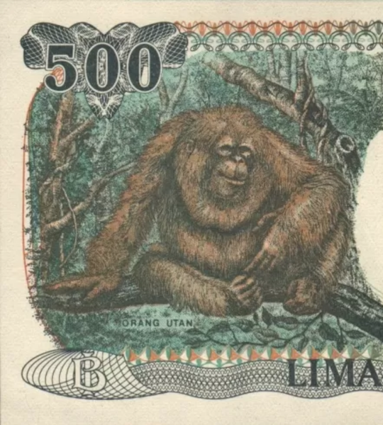 500 rupii, Indonezja, 1992 (1999) rok, UNC