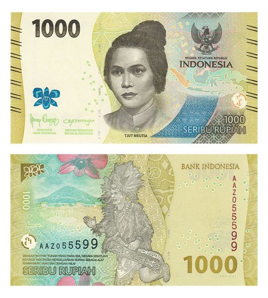 100 банкнот 1000 Rupiah, Індонезія, 2022 рік, UNC 000710 фото