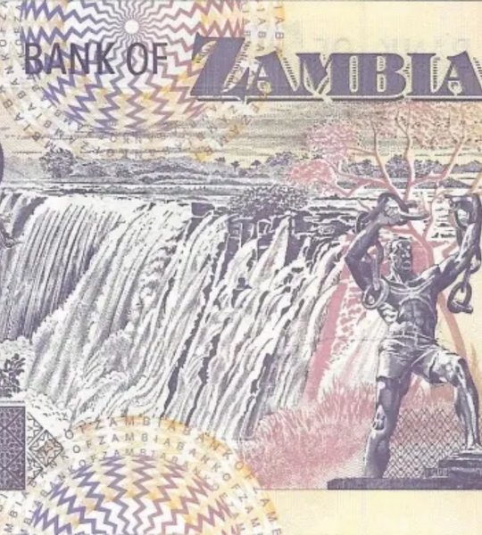 100 kwacha, Zambia, 2011 rok, UNC