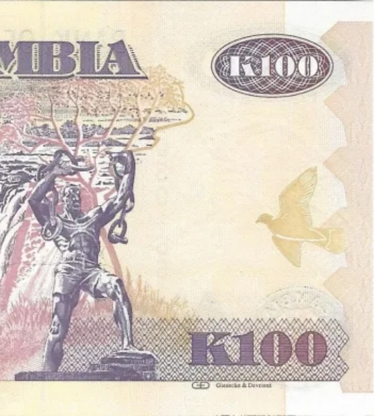 100 kwacha, Zambia, 2011 rok, UNC