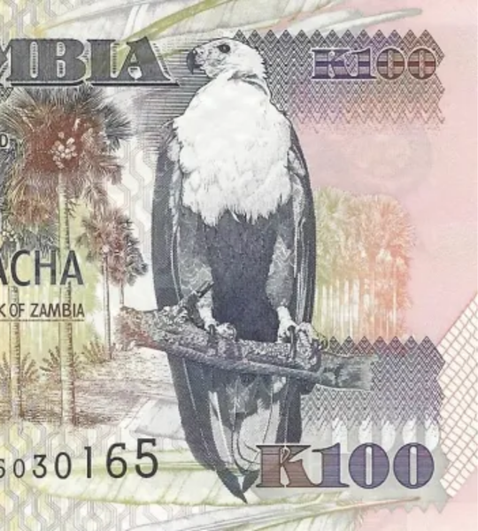 100 kwacha, Zambia, 2011 rok, UNC