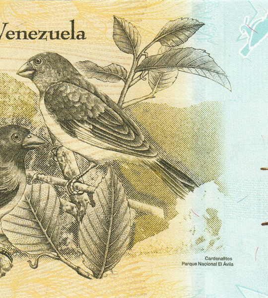100 Banknoten zu 100.000 Bolivares, Venezuela, 2017, UNC 002426 фото