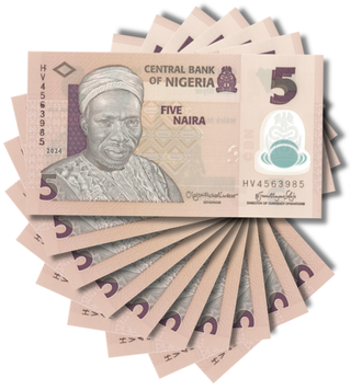 10 billets de 5 Naira, Nigeria, 2024, UNC Polym&egrave;re 003769 фото