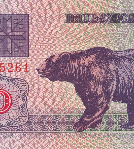 10张50卢布纸币，白俄罗斯，1992年，UNC 005615 фото