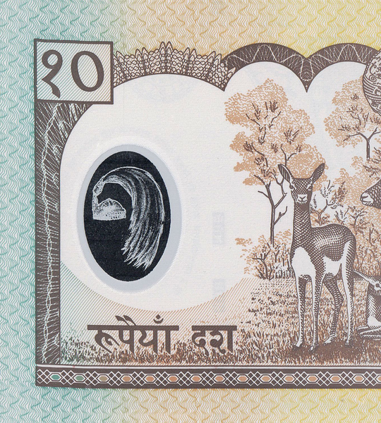 10 Rupees, Nepal, 2002, UNC Polymer