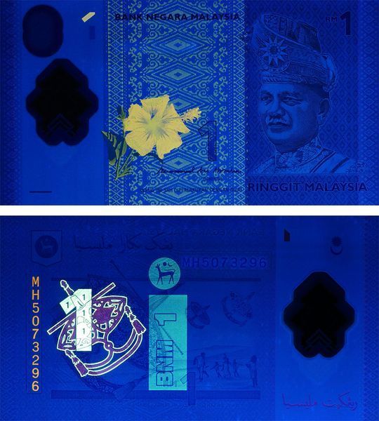 1 ринггит, Малайзия, 2021 год, UNC Polymer 004402 фото 1 ринггит, Малайзия, 2021 год, UNC Polymer 004402 фото