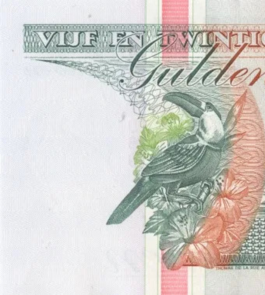 25 Gulden, Suriname, ano de 1998, UNC 005666 фото