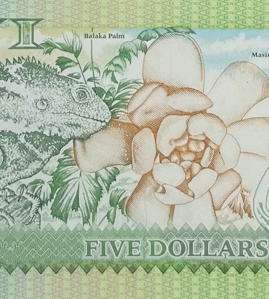 5美元,斐济,2023 (2013) 年,UNC 塑料钞 (Polymer) 005018 фото 5美元,斐济,2023 (2013) 年,UNC 塑料钞 (Polymer) 005018 фото