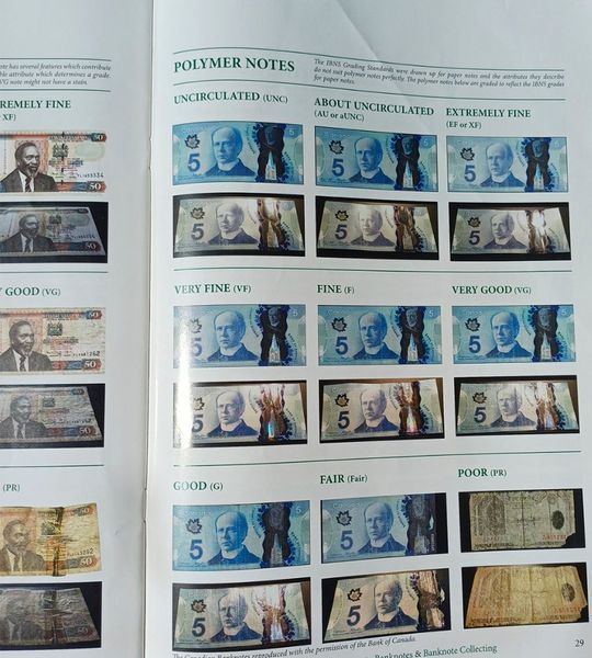 Rivista IBNS laminata, 36 pagine 004969 фото