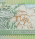 5美元，斐济，2023 (2013) 年，UNC 塑料钞 (Polymer) 005018 фото 6