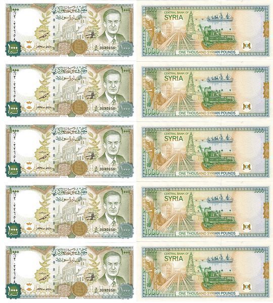 10 банкнот 1000 Pounds, Сирия, 1997 год, UNC 004800 фото 10 банкнот 1000 Pounds, Сирия, 1997 год, UNC 004800 фото
