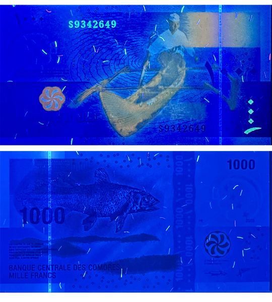 1000 Franków, Komory, rok 2005 (2021), UNC