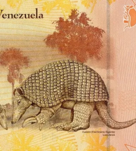 10 billetes de 5 Bol&iacute;vares, Venezuela, 2011, UNC 003673 фото