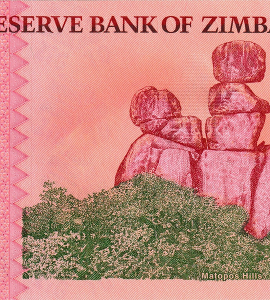 10 ZiG, Zimbabwe, 2026, UNC