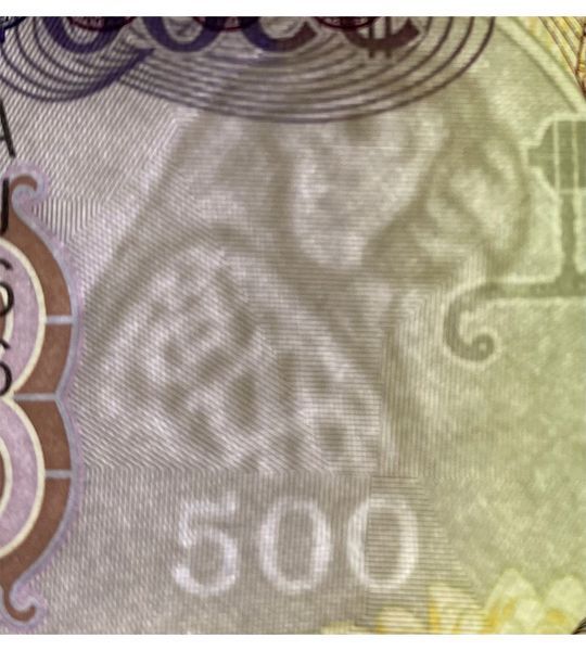 500 dolarów, Gujana, 2019 rok, UNC