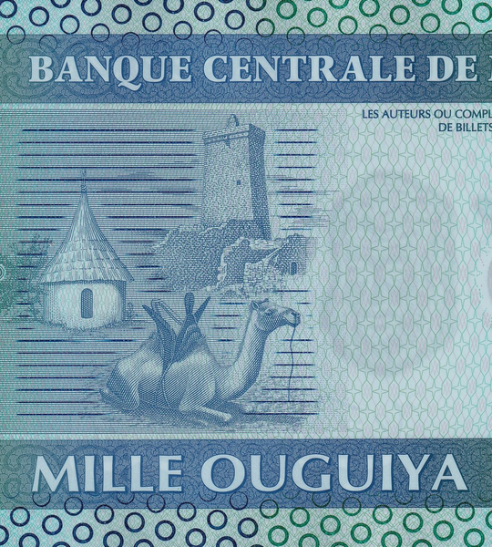 10 banknot&oacute;w 1000 Ouguiya, Mauretania, 2014, UNC Polymer