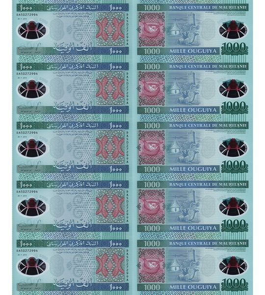 10 张 1000 乌吉亚纸币, 毛里塔尼亚, 2014年, 全新 聚合物 003601 фото 10 张 1000 乌吉亚纸币, 毛里塔尼亚, 2014年, 全新 聚合物 003601 фото