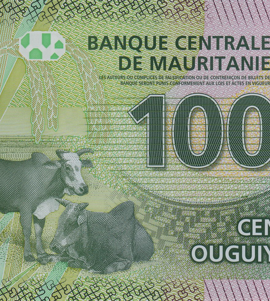 100 Ouguiya, Мавританія, 2020 рік, UNC Polymer 005094 фото