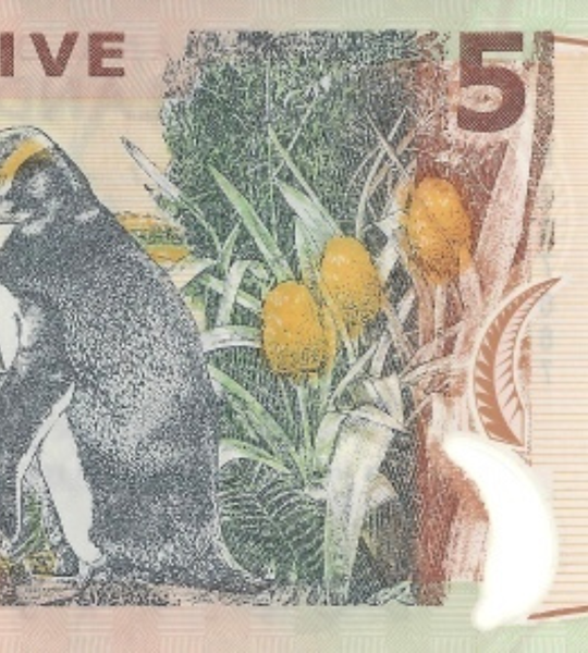 5 Dollars, Нова Зеландія, 2005 рік, UNC Polymer 003947 фото