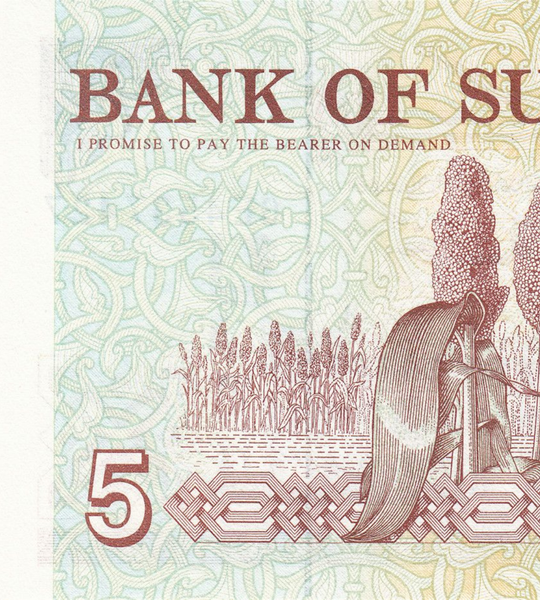 5 dinari, Sudan, 1993, UNC 005320 фото